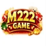 M222 Game